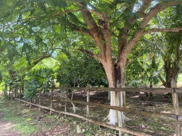 ESPECTACULAR LOTE DE OPORTUNIDAD