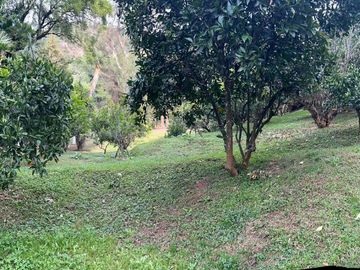 🌿 RANCHO EN VENTA –TEMASCALTEPEC 🌿 🏡 Paraíso natural a solo 20 min. de Valle de Bravo