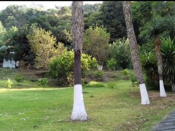 🌿 RANCHO EN VENTA –TEMASCALTEPEC 🌿 🏡 Paraíso natural a solo 20 min. de Valle de Bravo