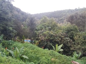 🌿 RANCHO EN VENTA –TEMASCALTEPEC 🌿 🏡 Paraíso natural a solo 20 min. de Valle de Bravo