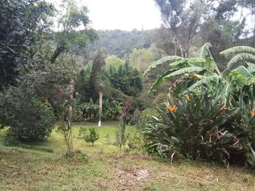 🌿 RANCHO EN VENTA –TEMASCALTEPEC 🌿 🏡 Paraíso natural a solo 20 min. de Valle de Bravo