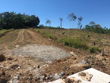 VENDO PROYECTO URBANO 7.2 HAS 259 LOTES EN YURIMAGUAS