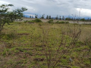 VENDO, TERRENO DE (901,80 m2), Malchingui