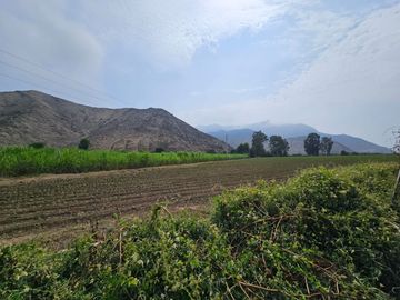 SE VENDE TERRENO AGRICOLA DE 34 000 M2 - FUNDO HUAYABO - CASERIO SUPE