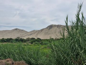 SE VENDE TERRENO AGRICOLA DE 34 000 M2 - FUNDO HUAYABO - CASERIO SUPE