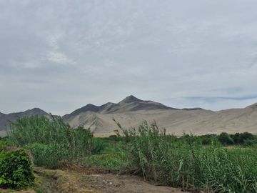 SE VENDE TERRENO AGRICOLA DE 34 000 M2 - FUNDO HUAYABO - CASERIO SUPE