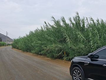 SE VENDE TERRENO AGRICOLA DE 34 000 M2 - FUNDO HUAYABO - CASERIO SUPE