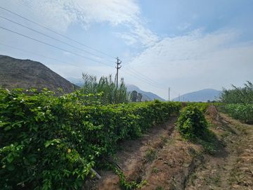 SE VENDE TERRENO AGRICOLA DE 34 000 M2 - FUNDO HUAYABO - CASERIO SUPE