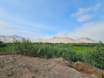 SE VENDE TERRENO AGRICOLA DE 34 000 M2 - FUNDO HUAYABO - CASERIO SUPE
