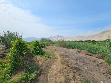 SE VENDE TERRENO AGRICOLA DE 34 000 M2 - FUNDO HUAYABO - CASERIO SUPE