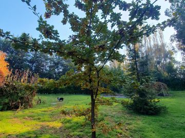 Maravillosa parcela en Bosques de Santa Cecilia, Melipilla.