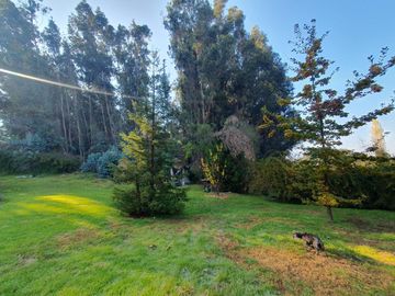 Maravillosa parcela en Bosques de Santa Cecilia, Melipilla.