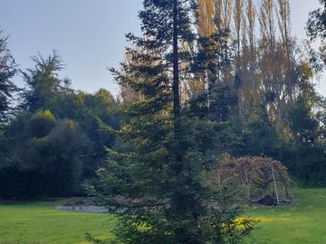 Maravillosa parcela en Bosques de Santa Cecilia, Melipilla.