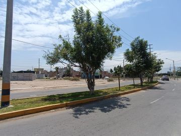Oportunidad Única: Terreno de 90.12 m² en La Florida, Ica