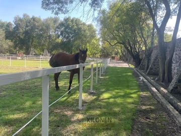 Rancho Señorial Privilegiado, con 3 Pozos y Bella Ecología. Casa estilo Mediterránea amueblada, con alberca, canchas: Frontón y de Pádel tenis.