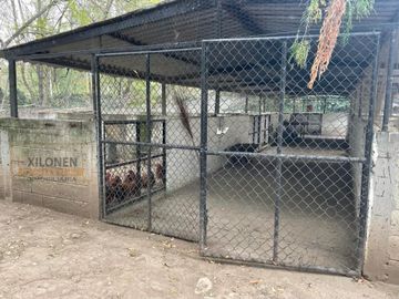 Rancho Señorial Privilegiado, con 3 Pozos y Bella Ecología. Casa estilo Mediterránea amueblada, con alberca, canchas: Frontón y de Pádel tenis.