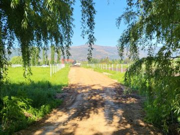 PARCELAS EN SANTA CRUZ 📍VI REGIÓN 🍇