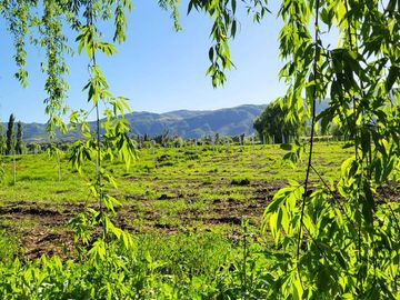 PARCELAS EN SANTA CRUZ 📍VI REGIÓN 🍇