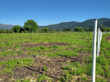 PARCELAS EN SANTA CRUZ 📍VI REGIÓN 🍇