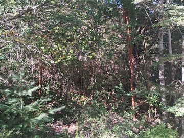 Venta Hermosa Parcela en ruta al centro de Sky de Pucon