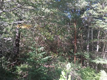 Venta Hermosa Parcela en ruta al centro de Sky de Pucon