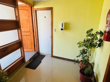 venta de propiedad comercial hostal los ruiles, Pelluhue