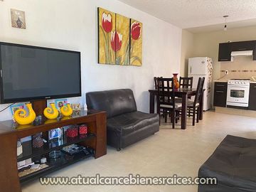 Venta de casa en fraccionamiento con alberca, jardín, palapa y vigilancia las 24 horas