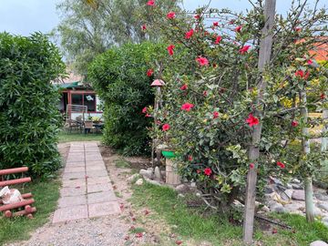 Se vende Parcela KM 25 Quebrada de Talca, Valle de Elqui