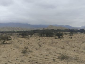 Venta De Terreno Agricola De 29 Has En Vilcahuaura - Huaura