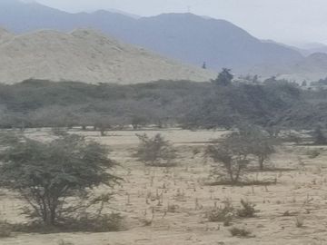 Venta De Terreno Agricola De 29 Has En Vilcahuaura - Huaura