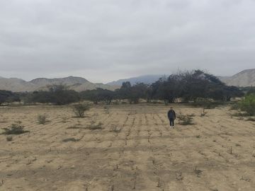 Venta De Terreno Agricola De 29 Has En Vilcahuaura - Huaura