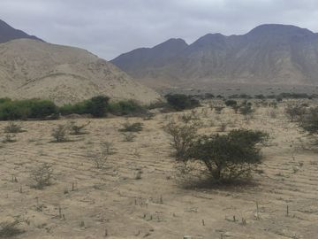 Venta De Terreno Agricola De 29 Has En Vilcahuaura - Huaura