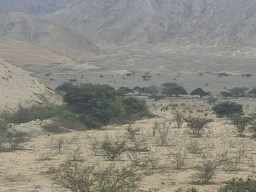 Venta De Terreno Agricola De 29 Has En Vilcahuaura - Huaura