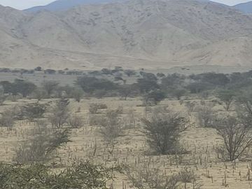 Venta De Terreno Agricola De 29 Has En Vilcahuaura - Huaura