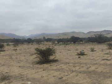 Venta De Terreno Agricola De 29 Has En Vilcahuaura - Huaura