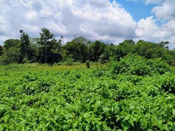 Terreno Rústico en la Selva del Perú de 6 hectáreas en Iquitos