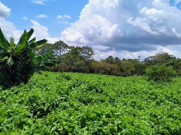 Terreno Rústico en la Selva del Perú de 6 hectáreas en Iquitos
