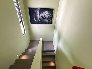 Casa Vanguardia, San José Tulipanes