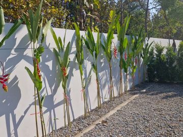 Luxury 5-Bedroom Pool Villa in a Prime Location Near International Schools in Chiang Mai