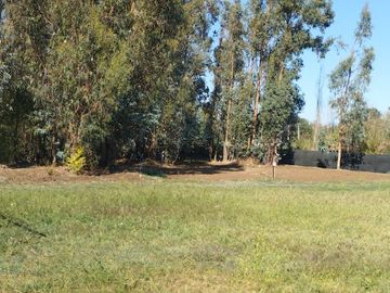 2025/525	PARCELA CON CASA SECTOR PORVENIR TALCA