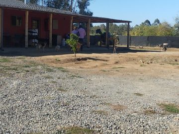 2025/525	PARCELA CON CASA SECTOR PORVENIR TALCA