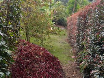Venta hermosa Casa Finca, Sabaneta Copacabana, Antioquia.