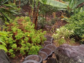 Venta hermosa Casa Finca, Sabaneta Copacabana, Antioquia.