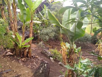 Venta hermosa Casa Finca, Sabaneta Copacabana, Antioquia.