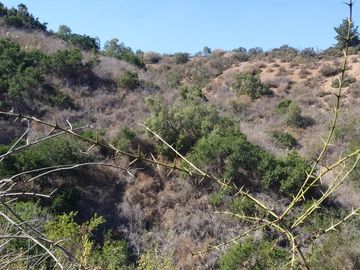 Gran parcela de 12,7ha en Casablanca. $220.000.000