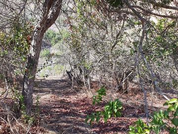 Gran parcela de 12,7ha en Casablanca. $220.000.000