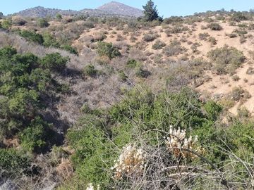 Gran parcela de 12,7ha en Casablanca. $220.000.000