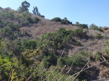 Gran parcela de 12,7ha en Casablanca. $220.000.000