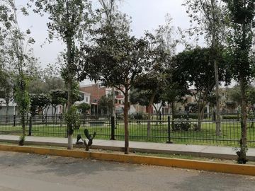 Venta Terreno En Los Olivos De 160M2 En Urb. Parque Naranjal