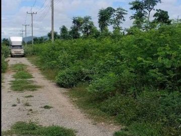 92466 - ขายที่ดินเปล่า ขนาด1 ไร่ 250.3 ตร.ว. อำเภออู่ทอง จังหวัดสุพรรณบุรี